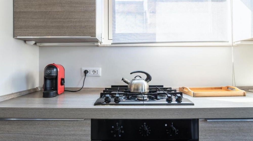 Plum Guide - The Elders