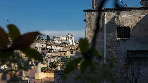 Plum Guide - The Elders image 7